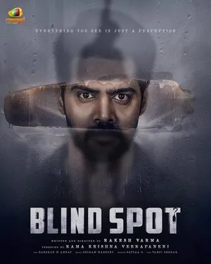 Blind Spot 2025 Hindi Dual Audio WEB-DL 720p - 480p - 1080p Movie Poster