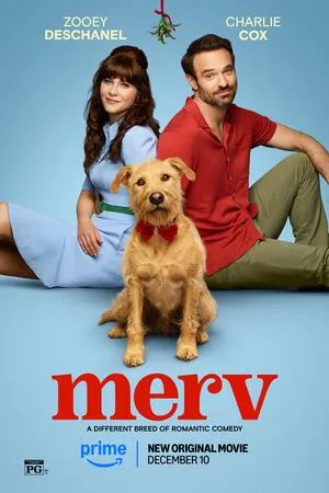 Merv 2025 Hindi Dual Audio WEB-DL 720p – 480p – 1080p :: Bollyflix