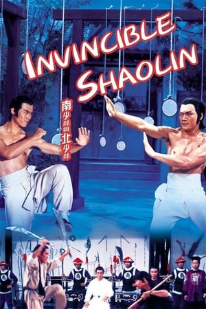 Invincible Shaolin 1978 Hindi Dual Audio 480p BluRay 300MB Movie Poster