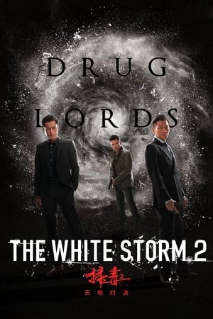 The White Storm 2: Drug Lords (2019) Hindi (Org) 480p HDRip 300MB Movie Poster